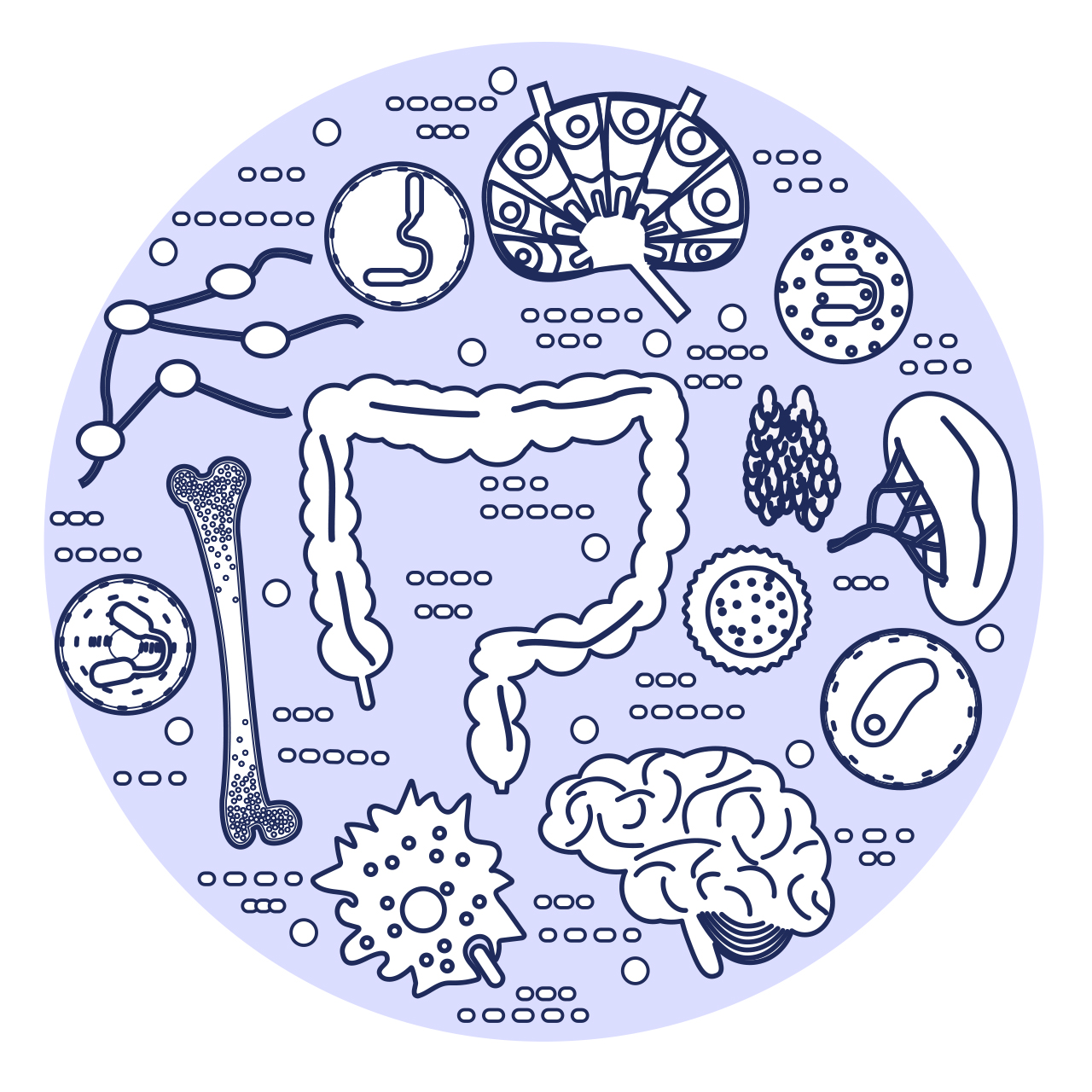 A circle holds icons representing various components of the immune system.